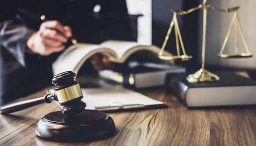 Tư Vấn Đầu Tư Và Hỗ Trợ Pháp Lý